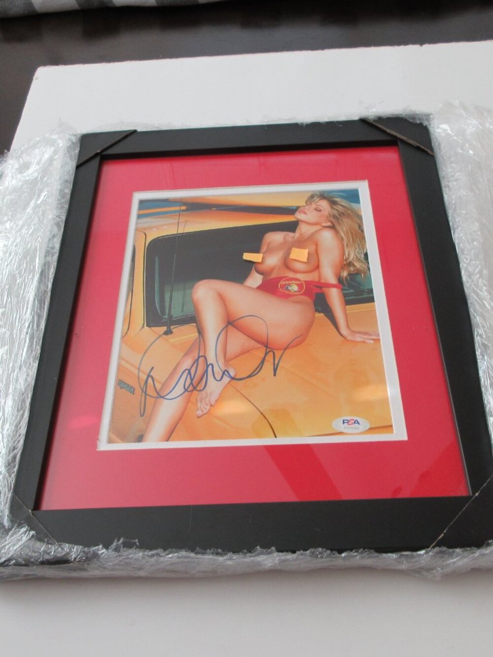 Donna D'Errico Baywatch Actress Signed Framed 8X10 Photo PSA Certified